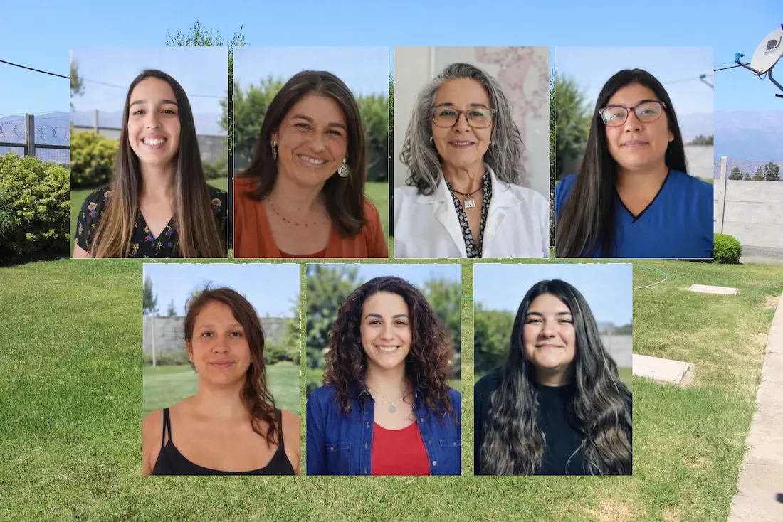 Equipo de Profesionales del Centro Magenta